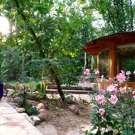 Woeste Hoogte - Lodge *