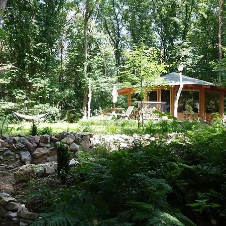 Lodge Woeste Hoogte - *