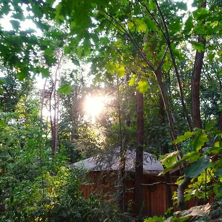Lodge Woeste Hoogte -