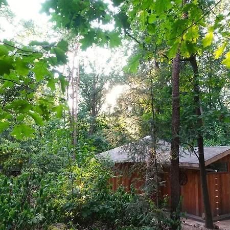 Woeste Hoogte - Groesbeek