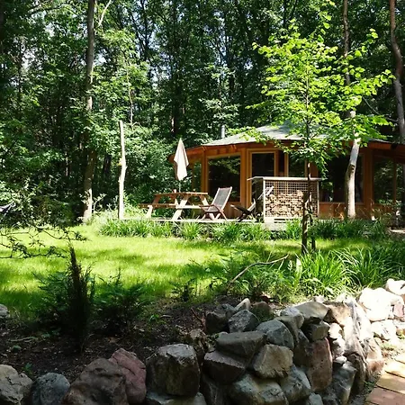 Woeste Hoogte - *