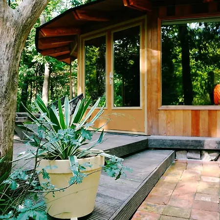 Lodge Woeste Hoogte -