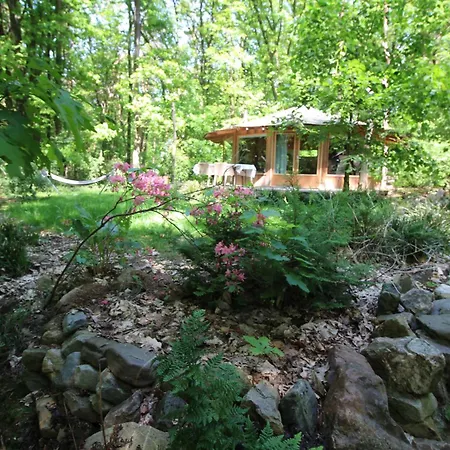 Lodge Woeste Hoogte -