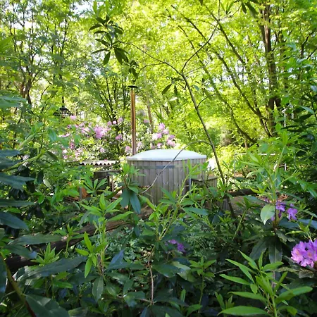 Lodge Woeste Hoogte - Groesbeek