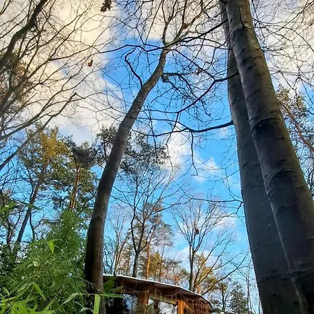 Woeste Hoogte - Lodge