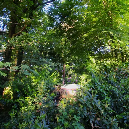 Woeste Hoogte - Lodge