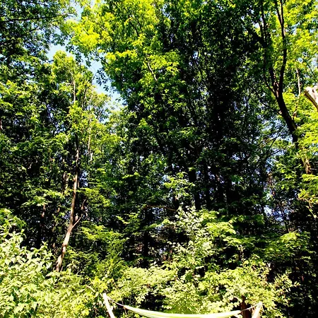 Lodge Woeste Hoogte - Groesbeek