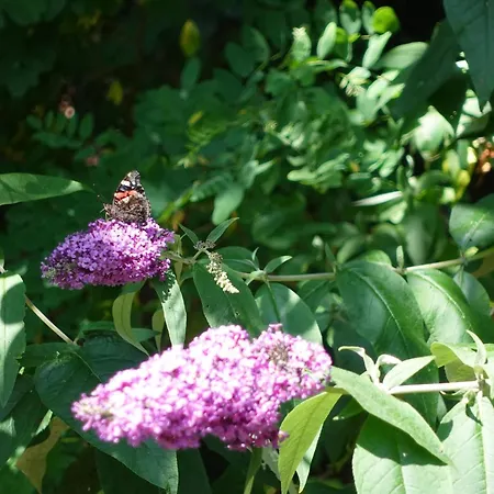 Woeste Hoogte - Lodge