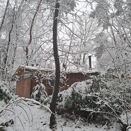 Woeste Hoogte - Lodge Groesbeek