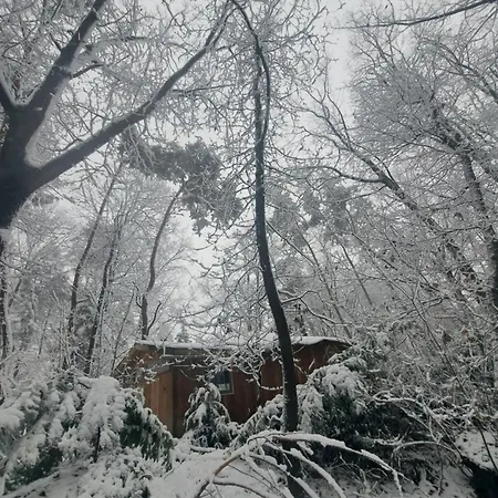 Woeste Hoogte - Lodge