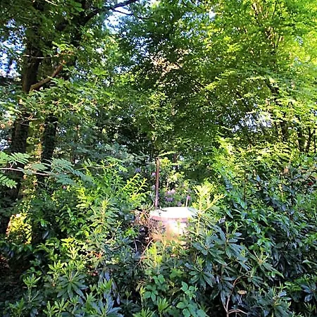 Woeste Hoogte - Lodge Groesbeek