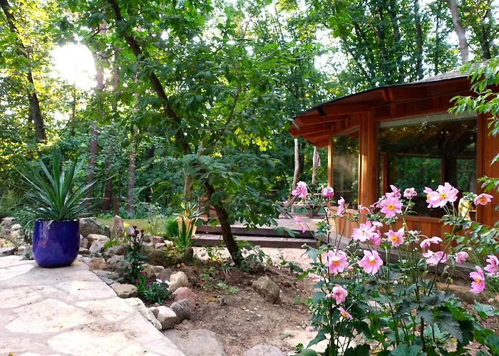 Woeste Hoogte - Lodge *