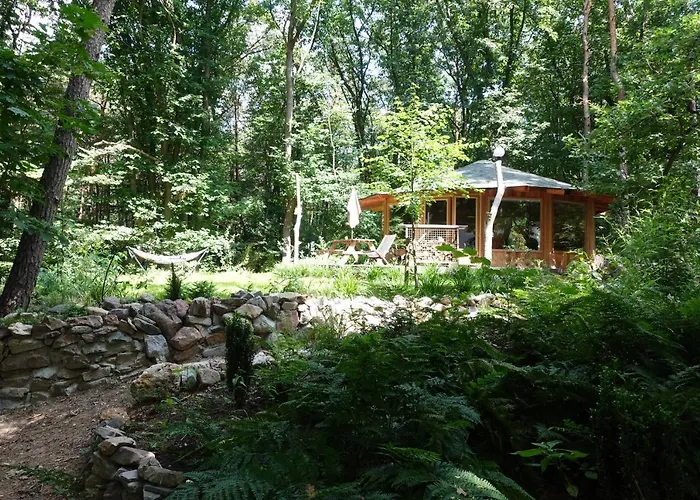 Lodge Woeste Hoogte - *