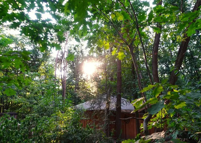 Lodge Woeste Hoogte -