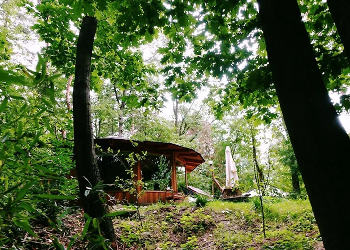 Lodge Woeste Hoogte -