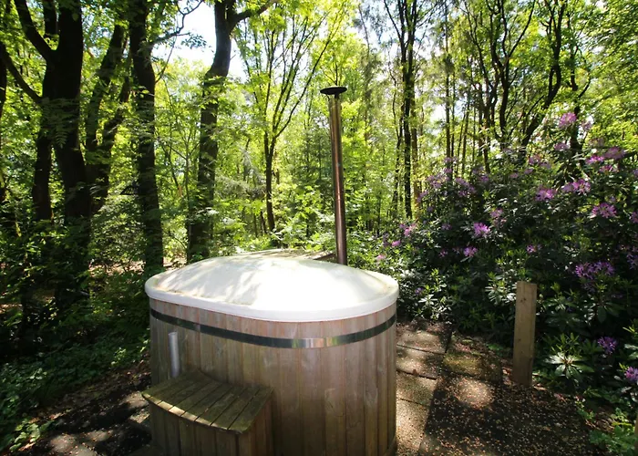 Lodge Woeste Hoogte - *