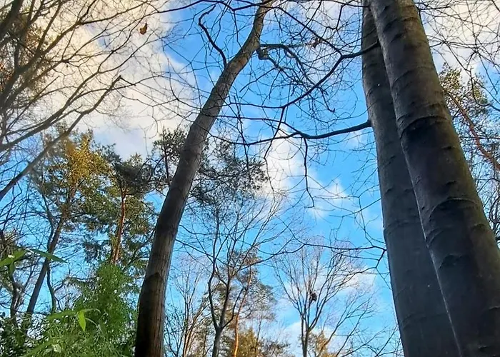 Woeste Hoogte - Lodge