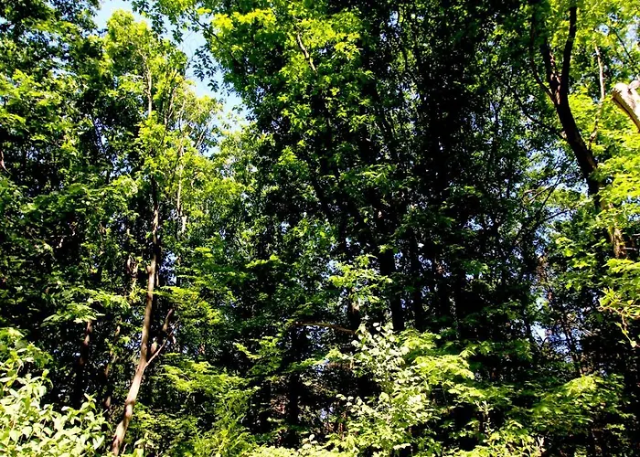 Gerendaház Woeste Hoogte - Groesbeek