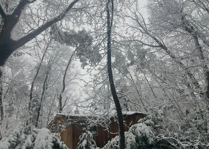 Woeste Hoogte - Gerendaház